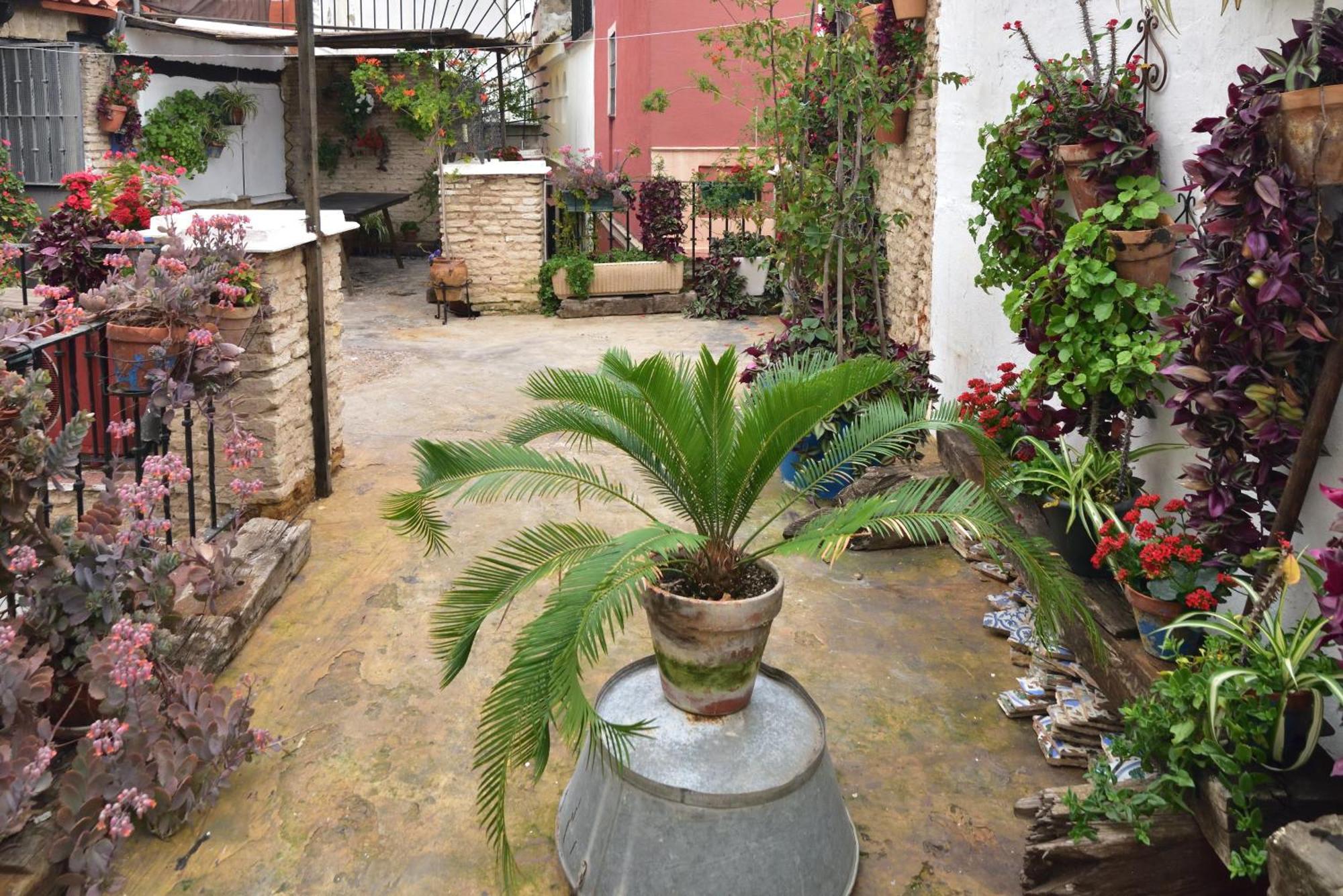 Suite Dona Ines Barrio Santacruz إشبيلية المظهر الخارجي الصورة