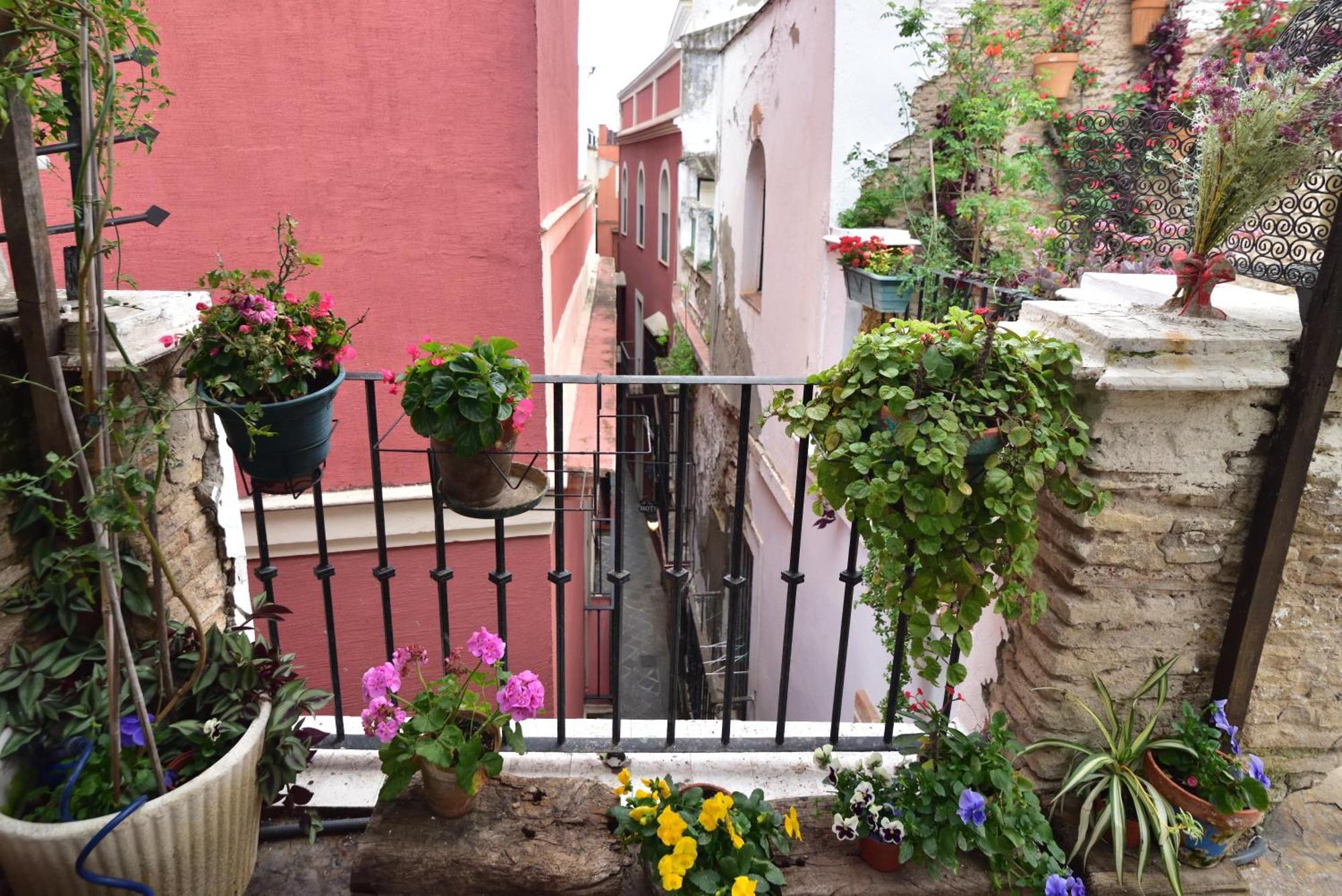 Suite Dona Ines Barrio Santacruz إشبيلية المظهر الخارجي الصورة